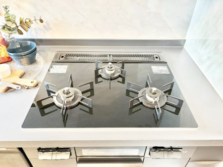 ���̑����� �K�X�R�����͂r���Z���T�[���ځB�Η͒��߂�ł��t���E�����Y����h���ł���܂��B