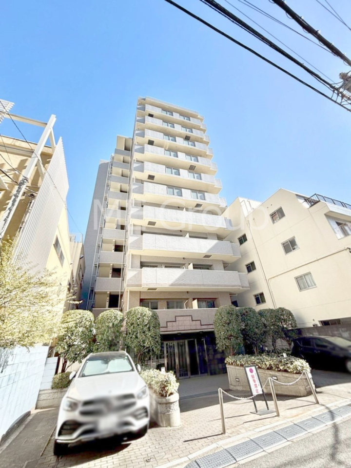 ���n�O�ώʐ^ ��������n�܂�V�����������������܂�