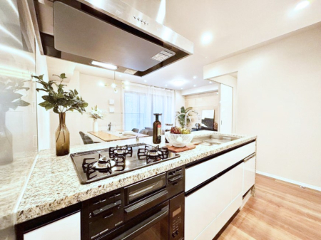 �L�b�`�� �H��@�E�򐅊�E�r���Z���T�[�R�����Ȃǃf�U�C�������@�\�������˔������V�X�e���L�b�`���I