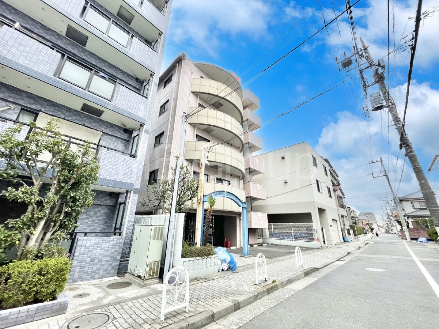 ���n�O�ώʐ^ ��������n�܂�V�����������������܂�