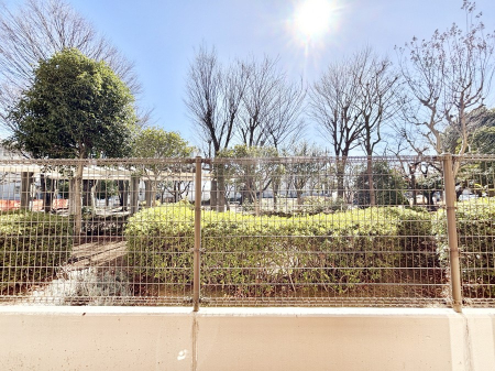 ���̑� ����