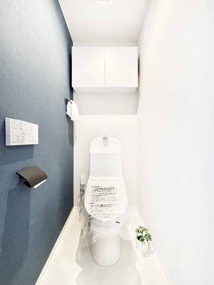 ���̑� ����