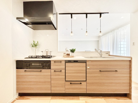 ���̑� ����