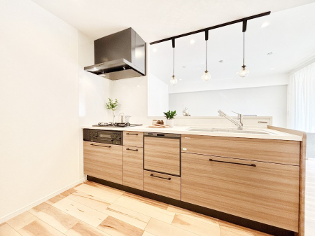 ���̑� ����