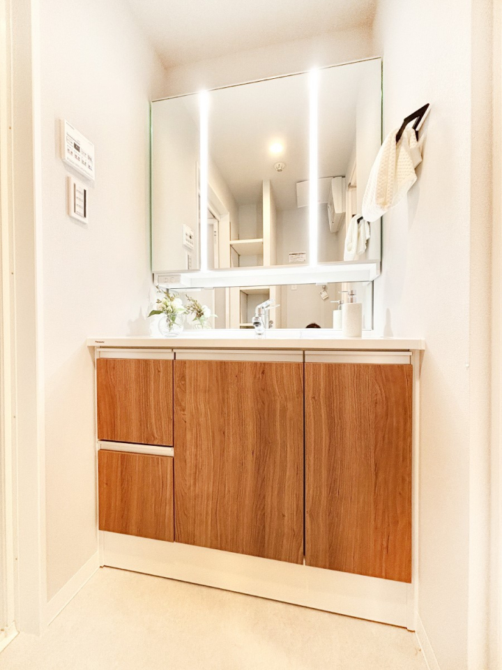 ���̑� ����