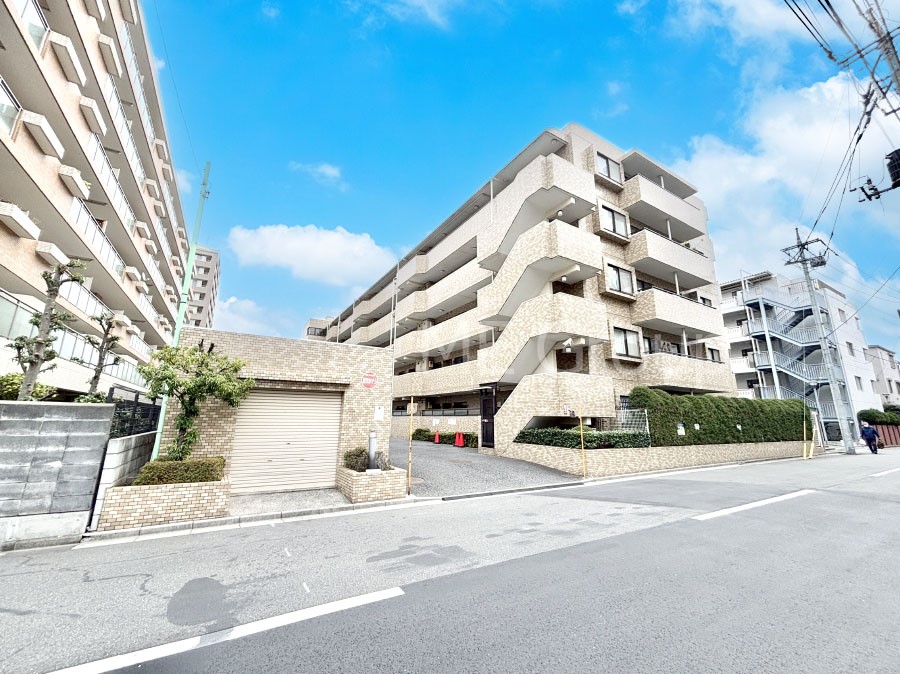 ���n�O�ώʐ^ ��Ƃ肪�Ί�𐶂ސS�n�悢���� 