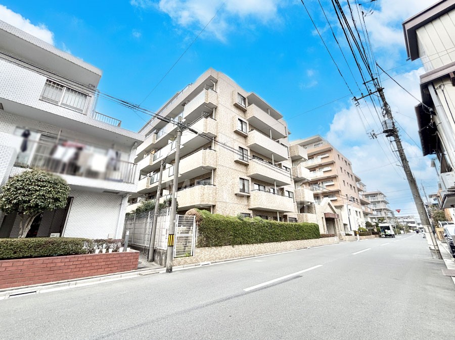 ���n�O�ώʐ^ ����z���ł��Ƒ��̏Ί���P�� 