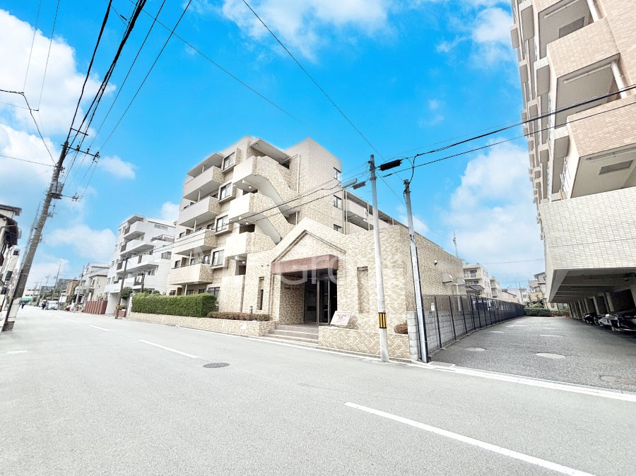 ���n�O�ώʐ^ ��������n�܂�V�����������������܂�