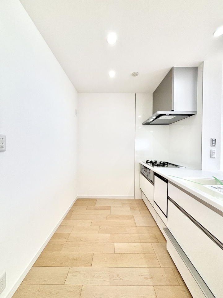 �L�b�`�� ��Ƃ肠��L�b�`���X�y�[�X�ł�������H��̌�Еt�����X���[�Y�ɁI