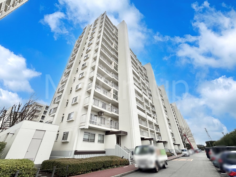 ���n�O�ώʐ^ ��Ƃ肪�Ί�𐶂ސS�n�悢���� 