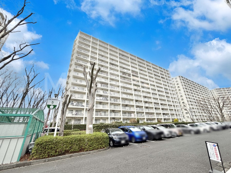 ���n�O�ώʐ^ ����z���ł��Ƒ��̏Ί���P�� 