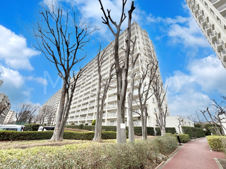 ���n�O�ώʐ^ ��������n�܂�V�����������������܂�