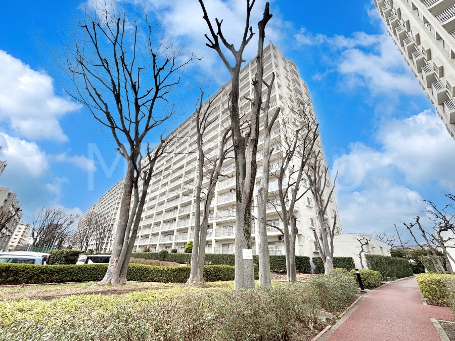 ���n�O�ώʐ^ ��������n�܂�V�����������������܂�