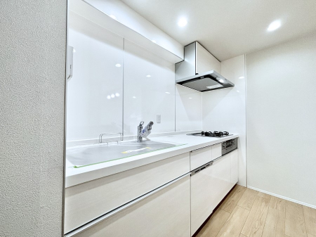 �L�b�`�� �������������I�ɁA�y�����I�V�X�e���L�b�`��