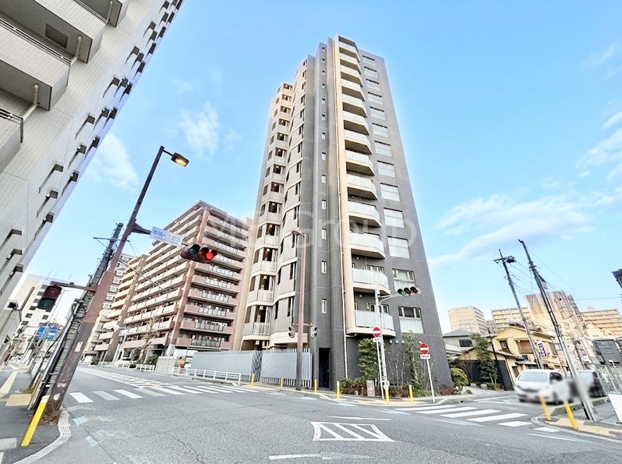 ���n�O�ώʐ^ ��������n�܂�V�����������������܂�