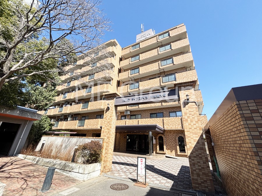 ���n�O�ώʐ^ ��Ƃ肪�Ί�𐶂ސS�n�悢����