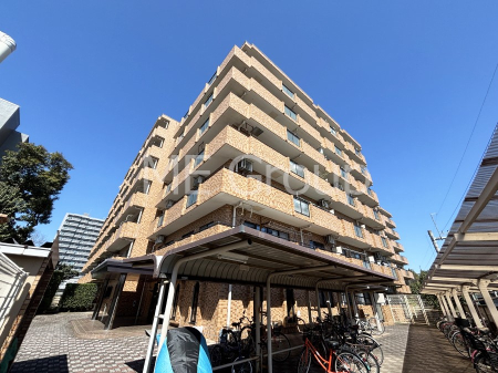 ���n�O�ώʐ^ ����z���ł��Ƒ��̏Ί���P��