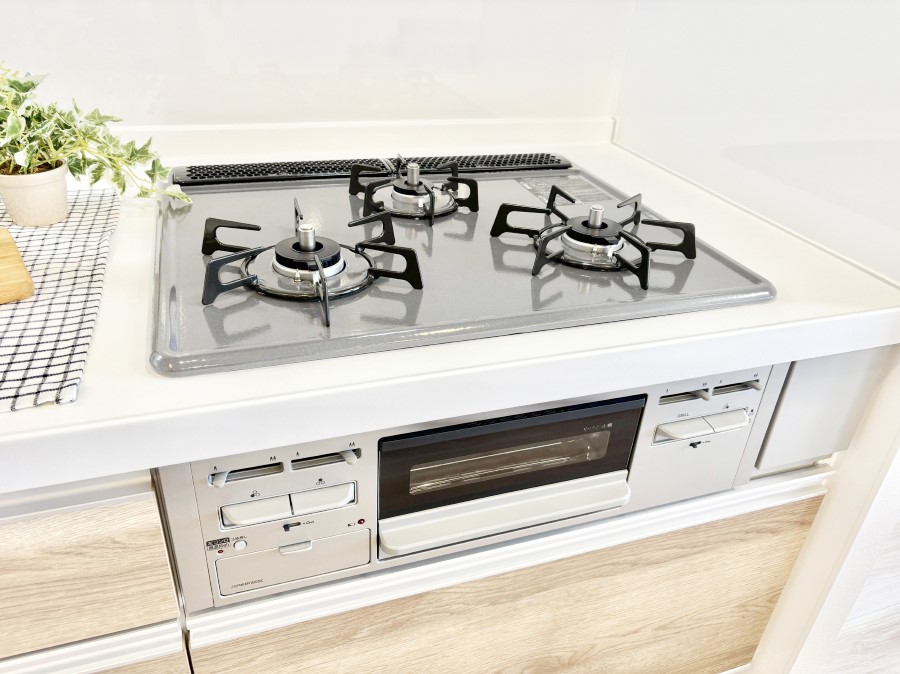 ���̑����� �O���K�X�R�����ł���������C�ɂ͂��ǂ肻��  