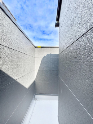 �o���R�j�[ �������o���R�j�[�������R��������̂������܂��B