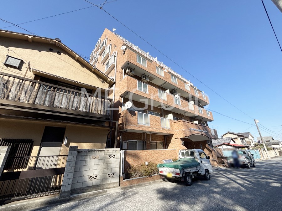 ���n�O�ώʐ^ ����z���ł��Ƒ��̏Ί���P��