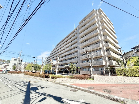 ���n�O�ώʐ^ ��������n�܂�V�����������������܂�