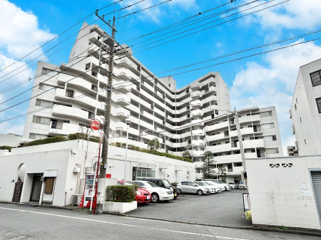 ���n�O�ώʐ^ ����z���ł��Ƒ��̏Ί���P�� 