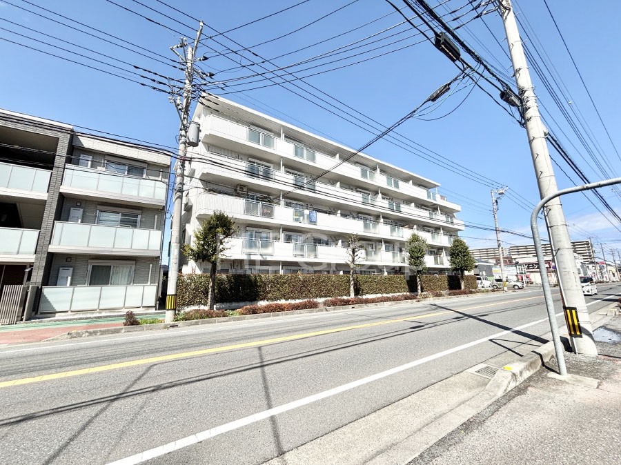 ���n�O�ώʐ^ ����z���ł��Ƒ��̏Ί���P�� 