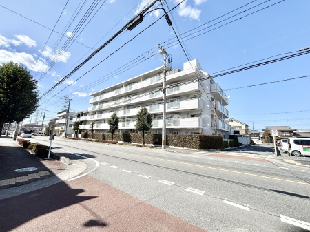 ���n�O�ώʐ^ ��������n�܂�V�����������������܂�