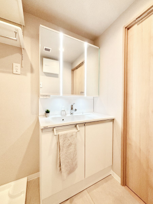 ���ʑ�E���ʏ� ���[�͂Ƌ@�\���ɗD�ꂽ���ʉ��ϑ�  �@