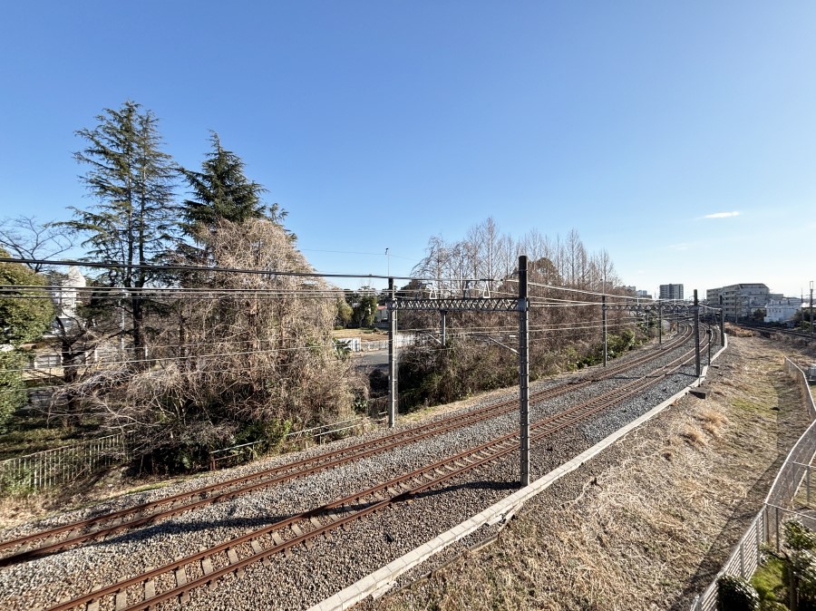 ���̑� �o���R�j�[����̒��]�ł�