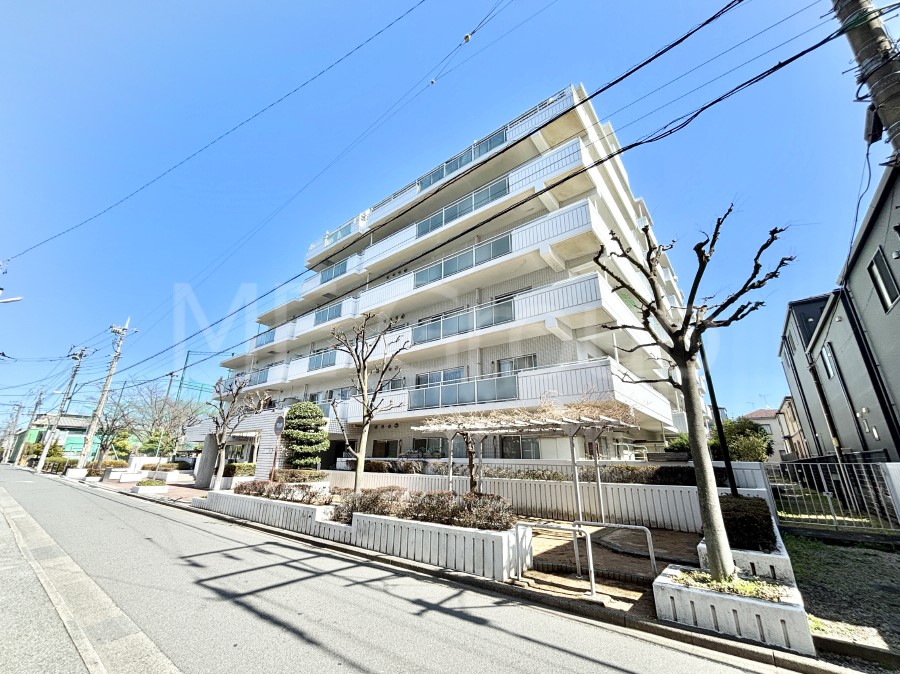 ���n�O�ώʐ^ ��Ƃ肪�Ί�𐶂ސS�n�悢���� 