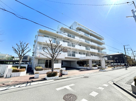 ���n�O�ώʐ^ ����z���ł��Ƒ��̏Ί���P�� 