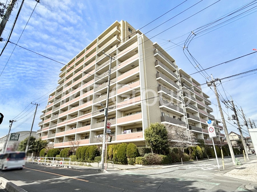 ���n�O�ώʐ^ ��Ƃ肪�Ί�𐶂ސS�n�悢���� 