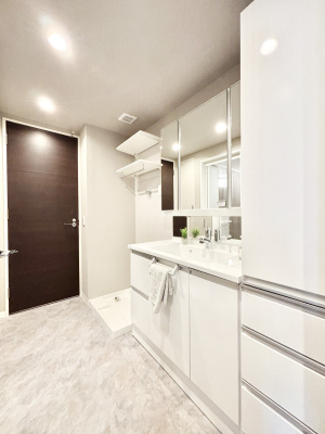 ���ʑ�E���ʏ� ���[�͂Ƌ@�\���ɗD�ꂽ���ʉ��ϑ�  �@