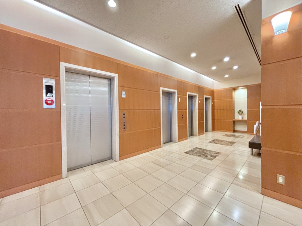 ���̑� �Z���҂◈�K�҂��C�����悭���o�}���B�������������͋C�̃G���g�����X