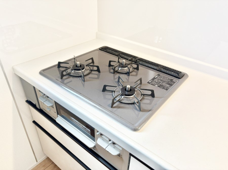 ���̑����� �O���K�X�R�����ł���������C�ɂ͂��ǂ肻���B  