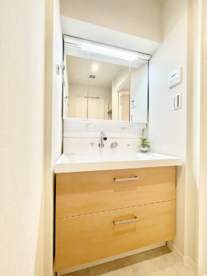 ���ʑ�E���ʏ� ���[�͂Ƌ@�\���ɗD�ꂽ���ʉ��ϑ�  �@�@