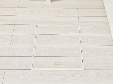 ���̑����� �������[�t���I���p�i�E���p�i�̎��[�ɂ��劈��B