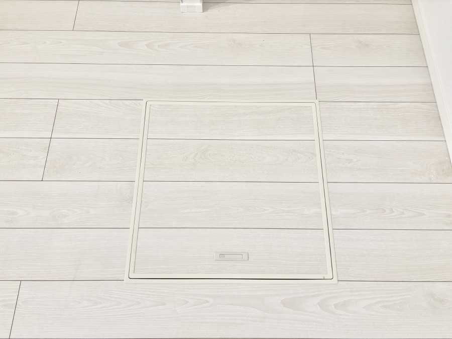 ���̑����� �������[�t���I���p�i�E���p�i�̎��[�ɂ��劈��B