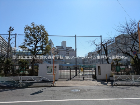 ���ӊ� ���w�Z 240m �n�c�旧���Ԍ�ڂ̐X���w�Z