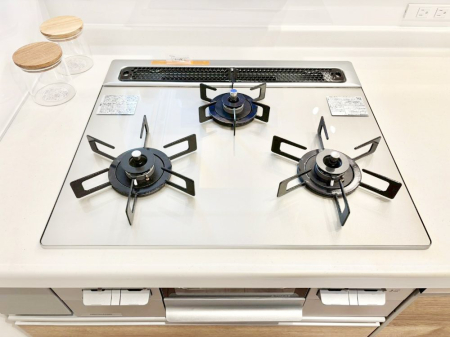 ���̑����� �O���K�X�R�����ł���������C�ɂ͂��ǂ肻��  