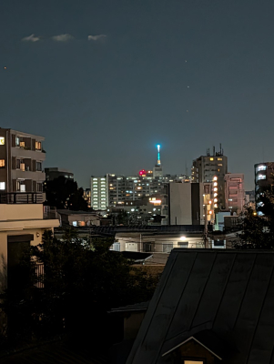 ���̑� �i�F���C���e���A�̈ꕔ�A�X�J�C�c���[�𒭂߂��ґ��ԁI