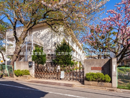 ���ӊ� ���w�Z 290m ���n�旧�L�ʓ����w�Z