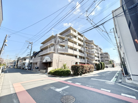 ���n�O�ώʐ^ ��������n�܂�V�����������������܂�