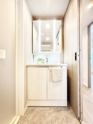 ���ʑ�E���ʏ� �X�^�C�����O�ɕ֗��ȎO�ʋ��A�~���[�L���r�l�b�g�ōׂ������X�b�L��