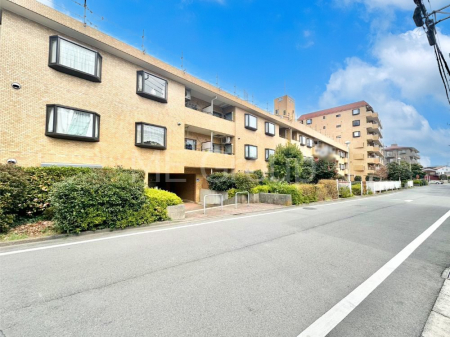 ���n�O�ώʐ^ ����z���ł��Ƒ��̏Ί���P�� 