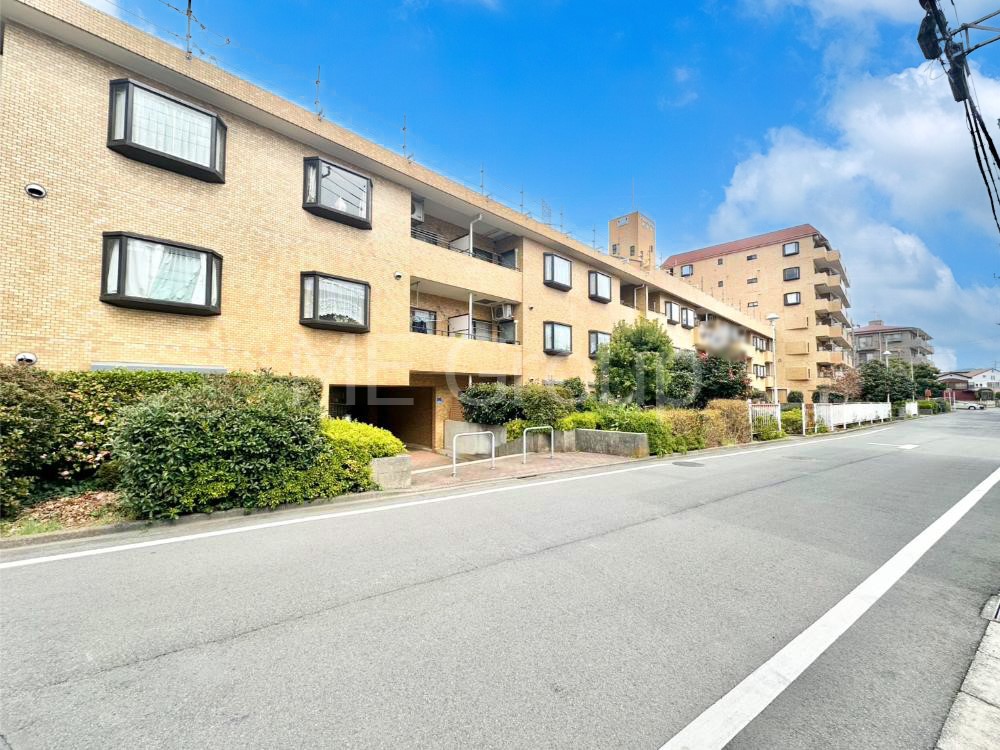 ���n�O�ώʐ^ ����z���ł��Ƒ��̏Ί���P�� 