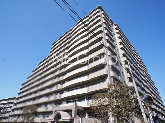 ���n�O�ώʐ^ ����z���ł��Ƒ��̏Ί���P��