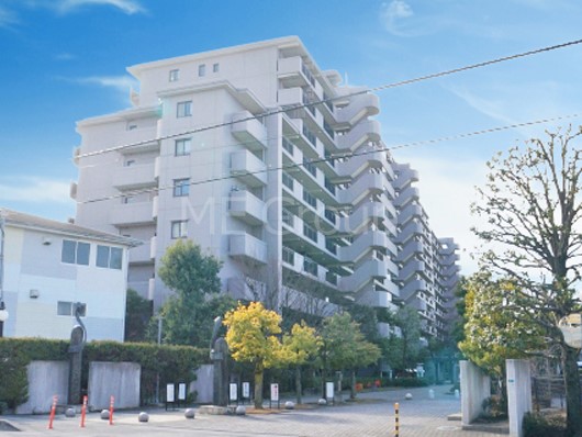 ���n�O�ώʐ^ ��Ƃ肪�Ί�𐶂ސS�n�悢���� 