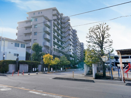 ���n�O�ώʐ^ ����z���ł��Ƒ��̏Ί���P�� 